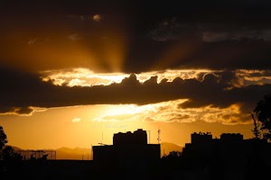 _E6I8370.jpg