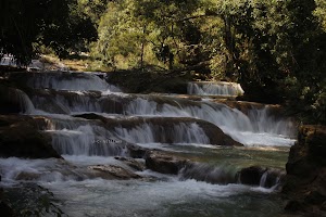 _MG_9793.jpg