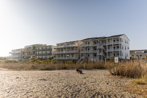 6Y9A1075.jpg