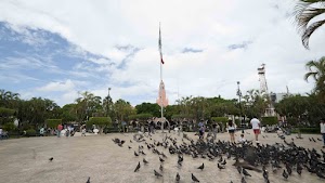 DSC07496.jpg