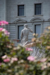 IMG_0894.jpg