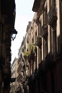 IMG_1043.jpg
