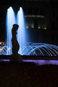 IMG_1230.jpg
