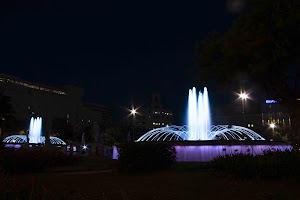 IMG_1268.jpg