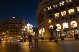 IMG_1320.jpg