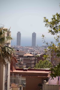 IMG_1549.jpg