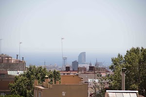 IMG_1611.jpg