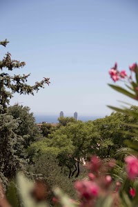 IMG_1658.jpg