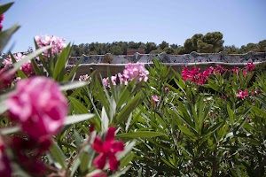 IMG_1667.jpg