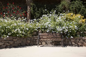 IMG_1685.jpg