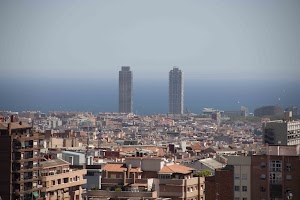 IMG_1777.jpg