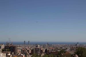 IMG_1878.jpg