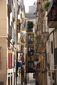 IMG_2657.jpg