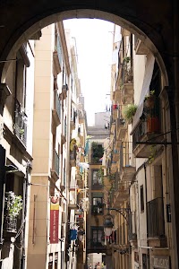 IMG_2660.jpg