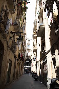 IMG_2666.jpg