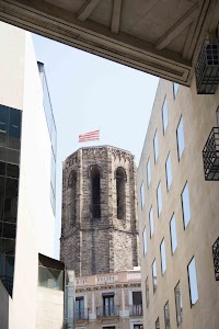 IMG_2698.jpg