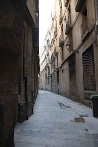 IMG_2725.jpg