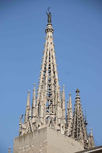 IMG_2811.jpg