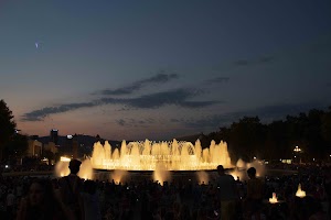 IMG_2970.jpg