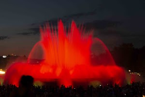 IMG_3029.jpg