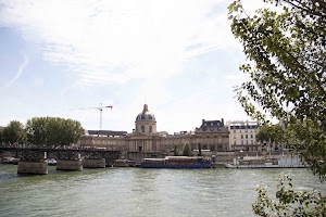 IMG_3464.jpg