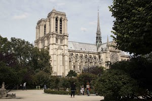 IMG_3533.jpg