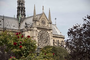 IMG_3538.jpg