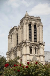 IMG_3540.jpg