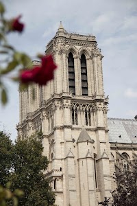 IMG_3561.jpg
