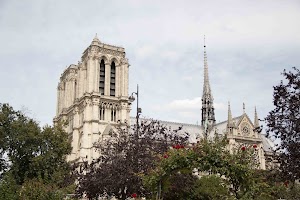 IMG_3575.jpg