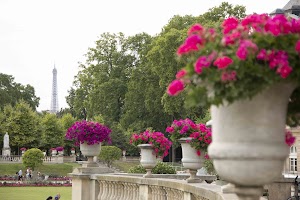 IMG_3637.jpg