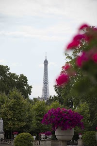 IMG_3641.jpg