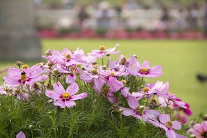 IMG_3649.jpg