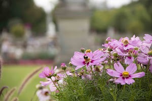 IMG_3690.jpg