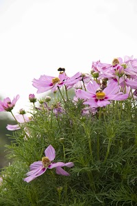 IMG_3711.jpg