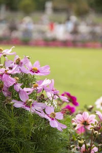 IMG_3741.jpg