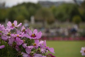 IMG_3759.jpg