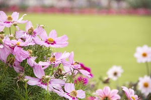 IMG_3777.jpg