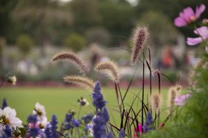 IMG_3782.jpg