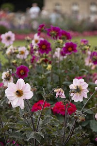 IMG_3791.jpg