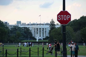IMG_3884.jpg