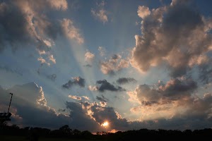 IMG_3914.jpg