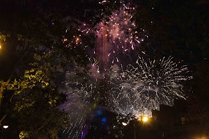 IMG_8520.jpg