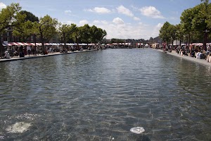 IMG_9185.jpg
