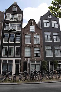 IMG_9245.jpg