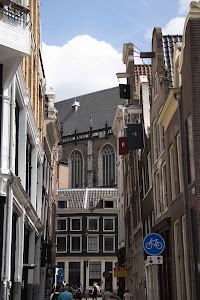 IMG_9256.jpg