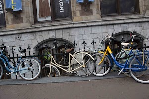 IMG_9277.jpg