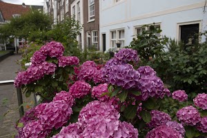 IMG_9377.jpg