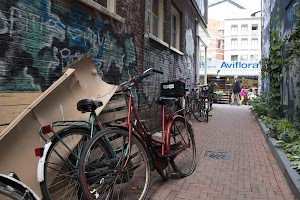 IMG_9455.jpg
