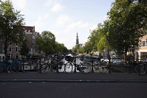 IMG_9485.jpg